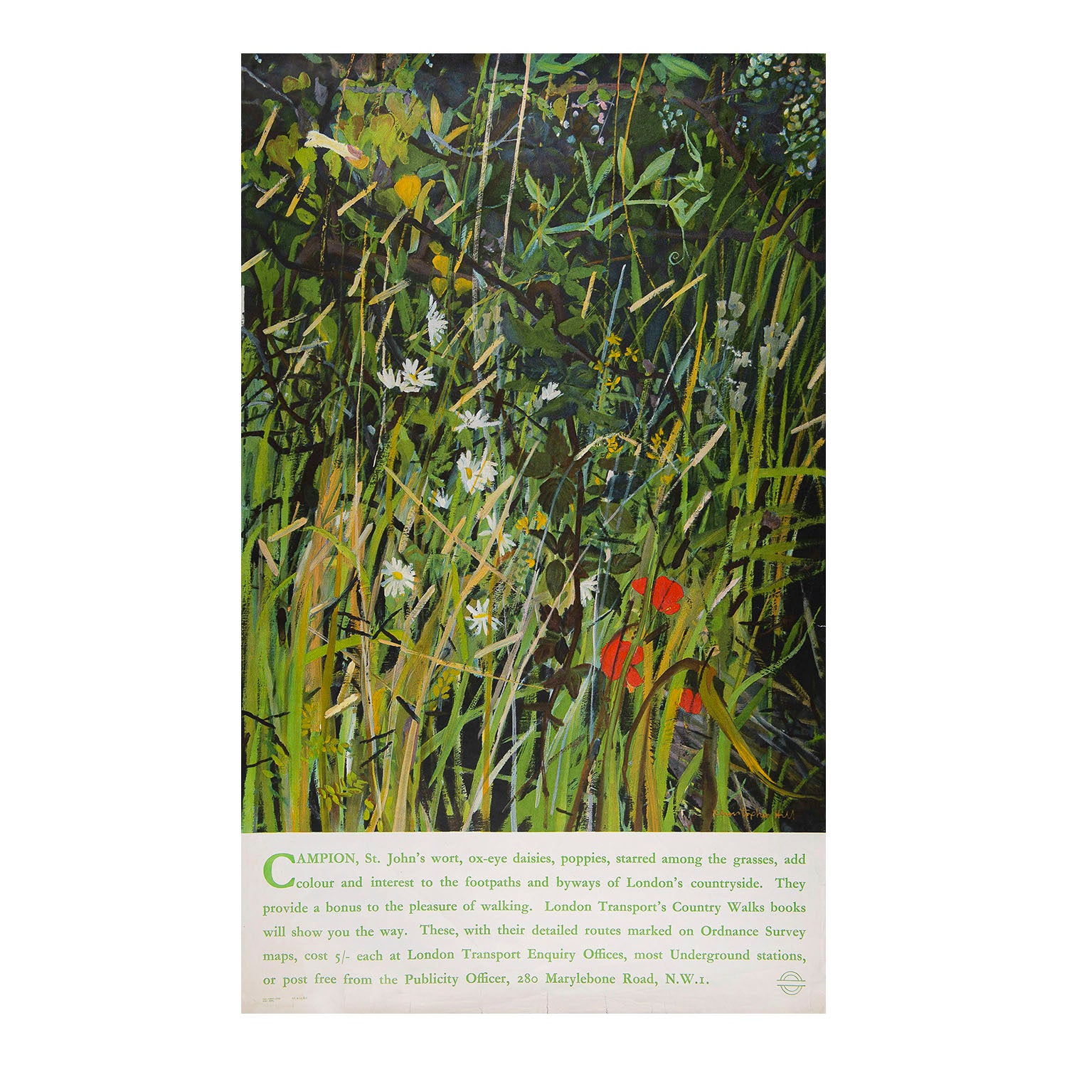 Original travel poster designed by Christopher Hill for London Transport, 1963. The design features a wild meadow of campion, St. John's wort, ox-eye daisies and poppies.