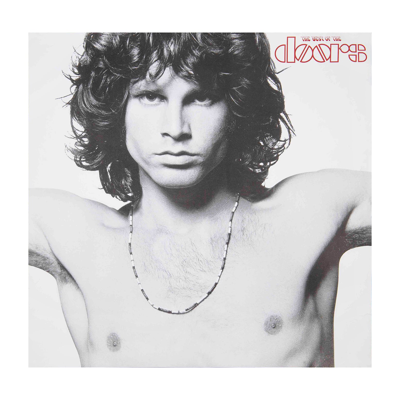 Original promotional poster, The Best of the Doors, 1985.