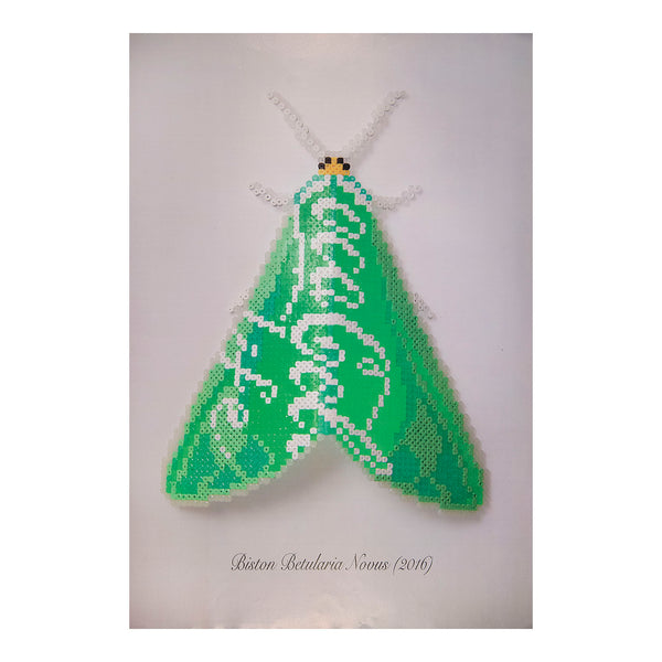 Original protest poster, Biston Betularia Novus, by Peter Fish, published by flyingleaps (2016). Signed, numbered and dated on the reverse (from an edition of 300).