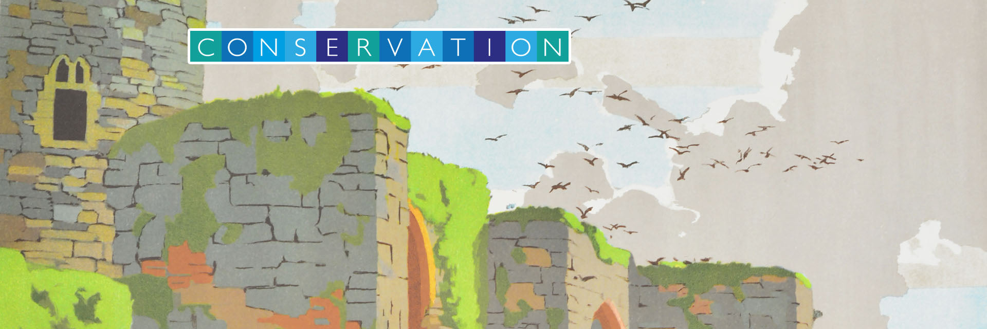 Conservation